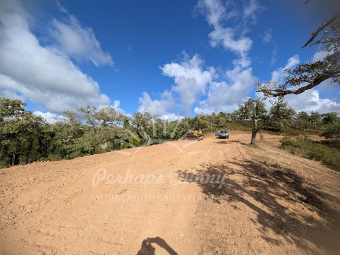 Terreno Agricola ou Rústico para Venda em Grândola e Santa Margarida da Serra Foto 17