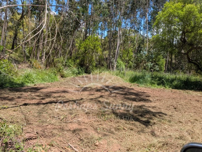 Terreno Agricola ou Rústico para Venda em Grândola e Santa Margarida da Serra Foto 24