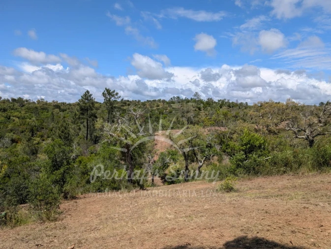 Terreno Agricola ou Rústico para Venda em Grândola e Santa Margarida da Serra Foto 25