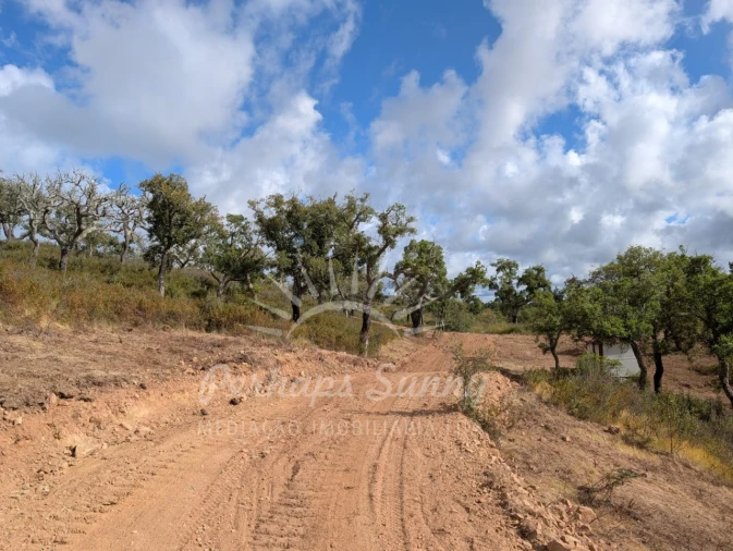 Terreno Agricola ou Rústico para Venda em Grândola e Santa Margarida da Serra Foto 27