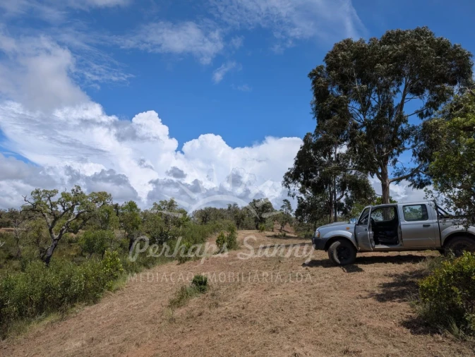 Terreno Agricola ou Rústico para Venda em Grândola e Santa Margarida da Serra Foto 28