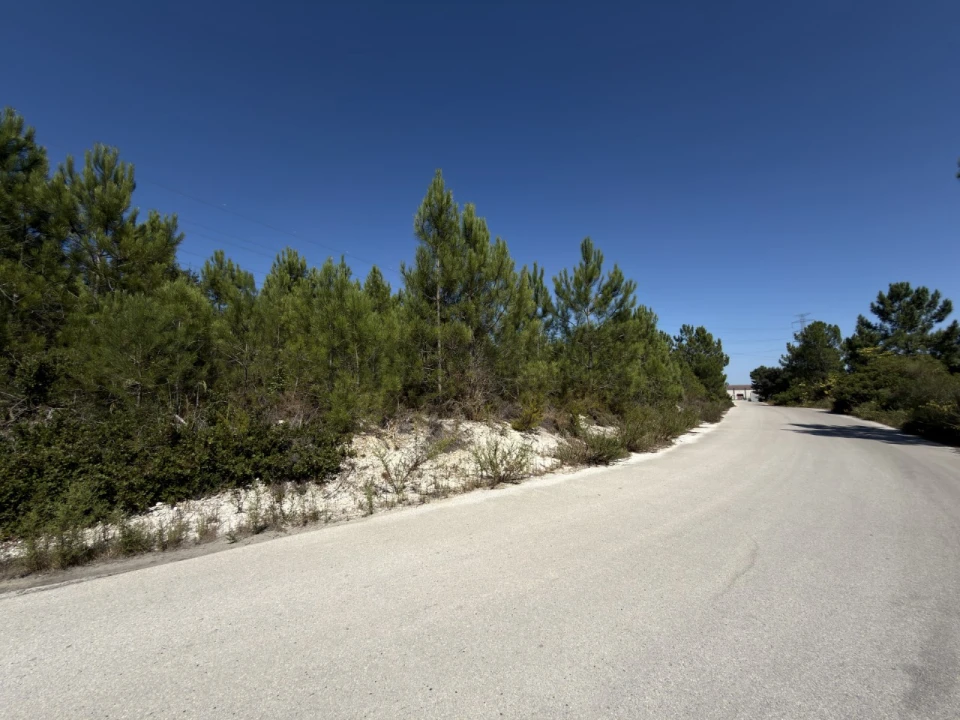 Terreno Comércio / Armazém para Venda em Seixal, Arrentela e Aldeia de Paio Pires Foto 3