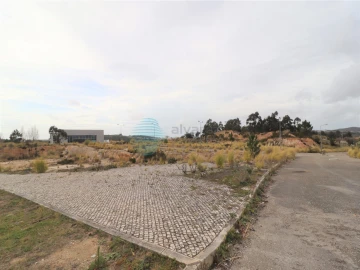 Terreno P/ Prédio para Venda em Santa Maria, São Pedro e Matacães