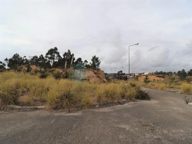 Terreno P/ Prédio para Venda em Santa Maria, São Pedro e Matacães Foto 3