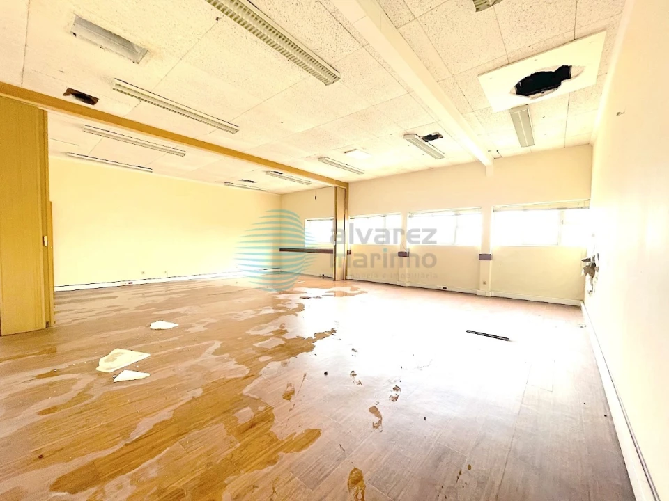 Armazém para Arrendamento em Santa Maria, São Pedro e Matacães Foto 15