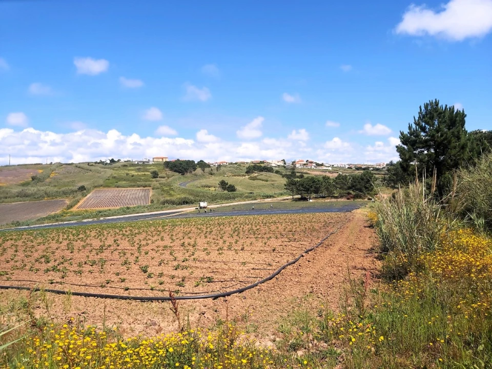 Terreno para Venda em A dos Cunhados e Maceira Foto 1