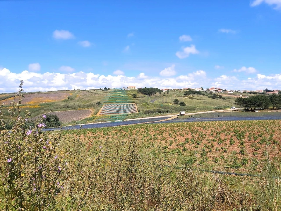 Terreno para Venda em A dos Cunhados e Maceira Foto 2