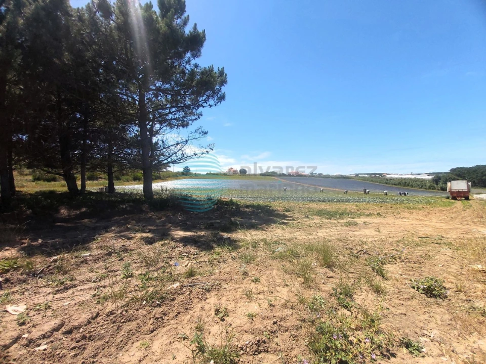 Terreno para Venda em A dos Cunhados e Maceira Foto 4
