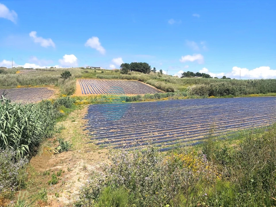 Terreno para Venda em A dos Cunhados e Maceira Foto 8
