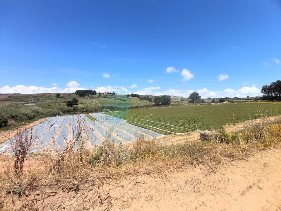 Terreno para Venda em A dos Cunhados e Maceira Foto 11