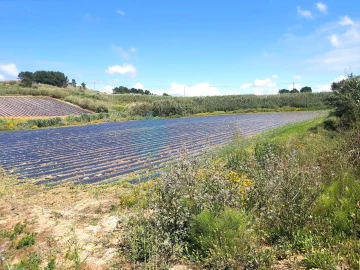 Terreno para Venda em A dos Cunhados e Maceira