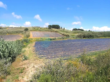 Terreno para Venda em A dos Cunhados e Maceira