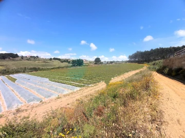 Terreno para Venda em A dos Cunhados e Maceira
