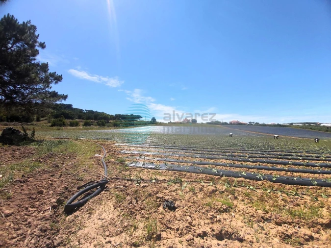 Terreno para Venda em A dos Cunhados e Maceira Foto 3
