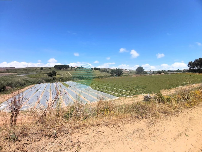 Terreno para Venda em A dos Cunhados e Maceira Foto 11