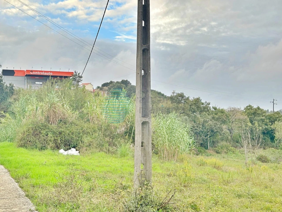 Terreno Comércio / Armazém para Venda em Milharado Foto 3
