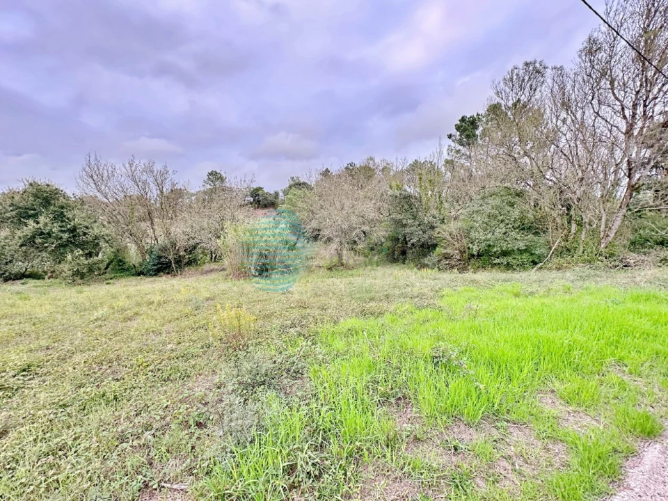 Terreno Comércio / Armazém para Venda em Milharado Foto 5