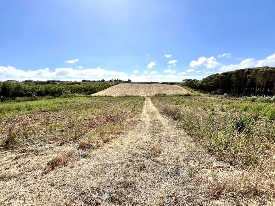Terreno Agricola ou Rústico para Venda em Silveira Foto 1