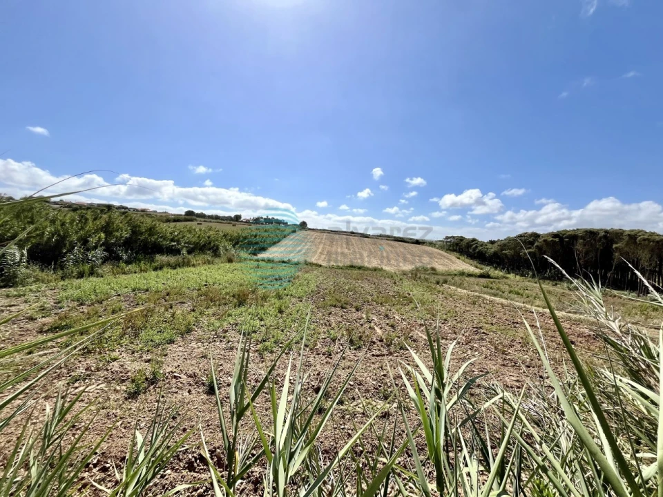 Terreno Agricola ou Rústico para Venda em Silveira Foto 3