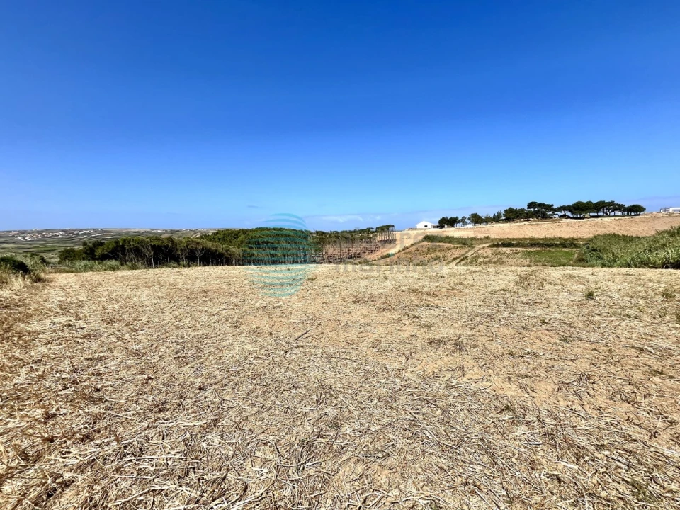 Terreno Agricola ou Rústico para Venda em Silveira Foto 5