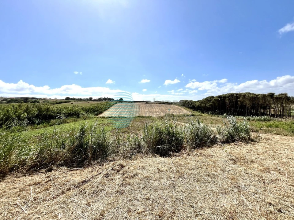 Terreno Agricola ou Rústico para Venda em Silveira Foto 1