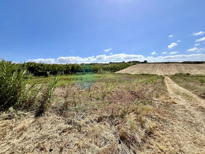 Terreno Agricola ou Rústico para Venda em Silveira Foto 2