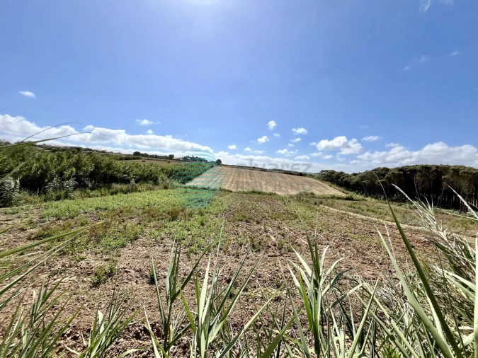 Terreno Agricola ou Rústico para Venda em Silveira Foto 3