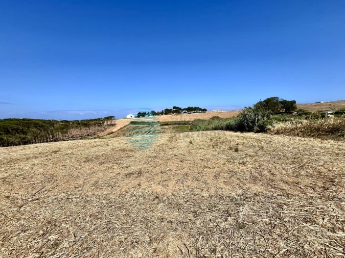 Terreno Agricola ou Rústico para Venda em Silveira Foto 6