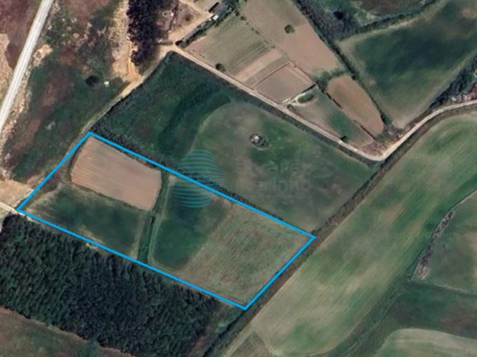 Terreno Agricola ou Rústico para Venda em Silveira Foto 7