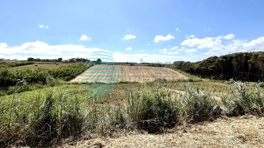Terreno Agricola ou Rústico para Venda em Silveira