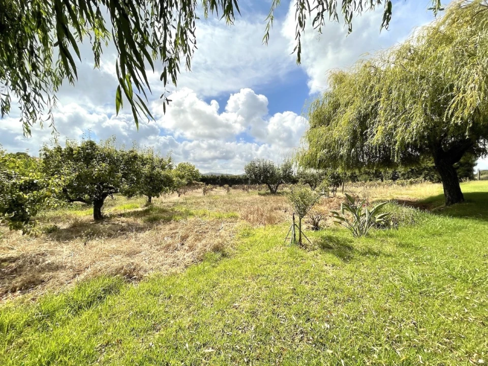 Terreno Agricola ou Rústico para Venda em Santa Maria, São Pedro e Matacães Foto 1