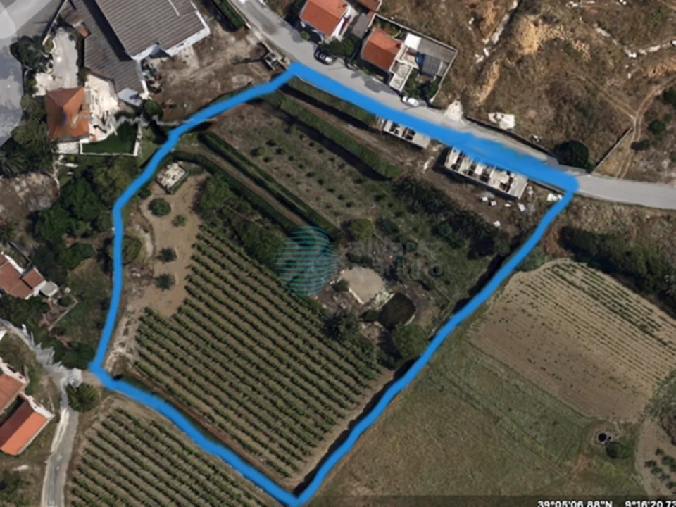 Terreno Agricola ou Rústico para Venda em Santa Maria, São Pedro e Matacães Foto 6