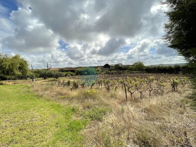 Terreno Agricola ou Rústico para Venda em Santa Maria, São Pedro e Matacães Foto 2