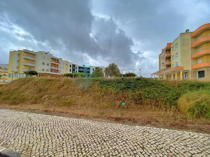 Terreno P/ Prédio para Venda em Santa Maria, São Pedro e Matacães Foto 6