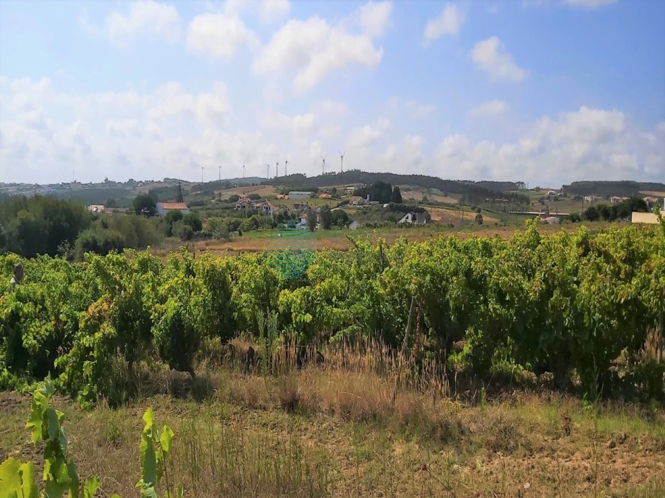 Terreno para Venda em Moita dos Ferreiros Foto 4