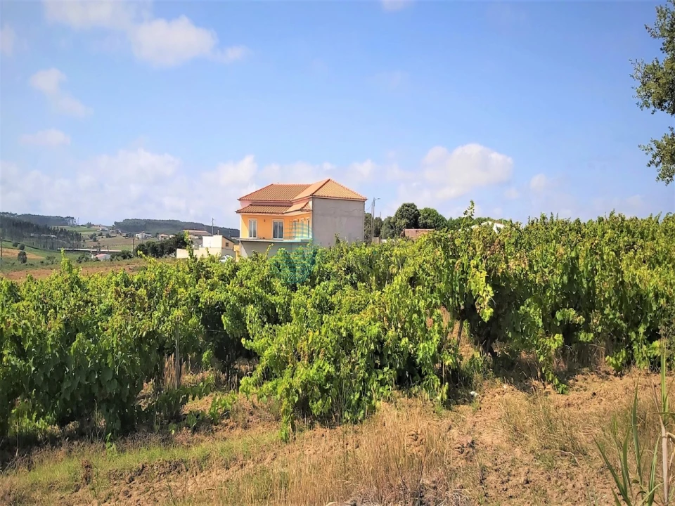 Terreno para Venda em Moita dos Ferreiros Foto 6