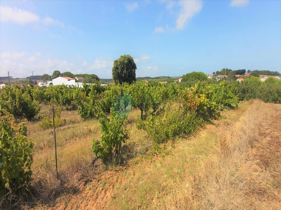 Terreno para Venda em Moita dos Ferreiros Foto 7