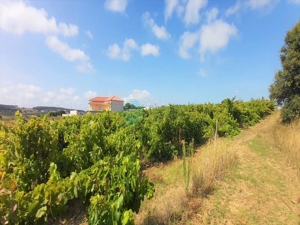 Terreno para Venda em Moita dos Ferreiros Foto 9