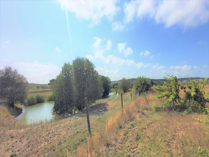 Terreno para Venda em Moita dos Ferreiros