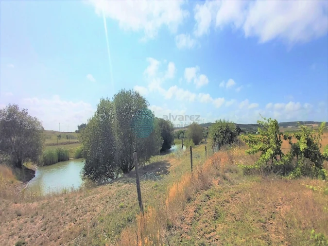 Terreno para Venda em Moita dos Ferreiros Foto 2
