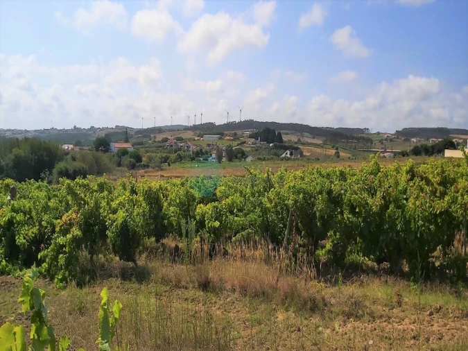 Terreno para Venda em Moita dos Ferreiros Foto 4