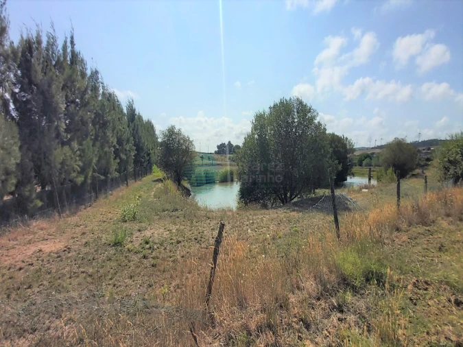 Terreno para Venda em Moita dos Ferreiros Foto 11