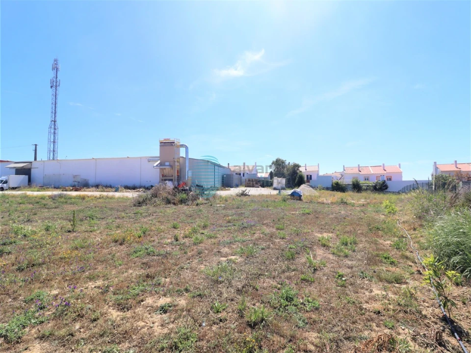 Armazém para Venda em Ericeira Foto 7