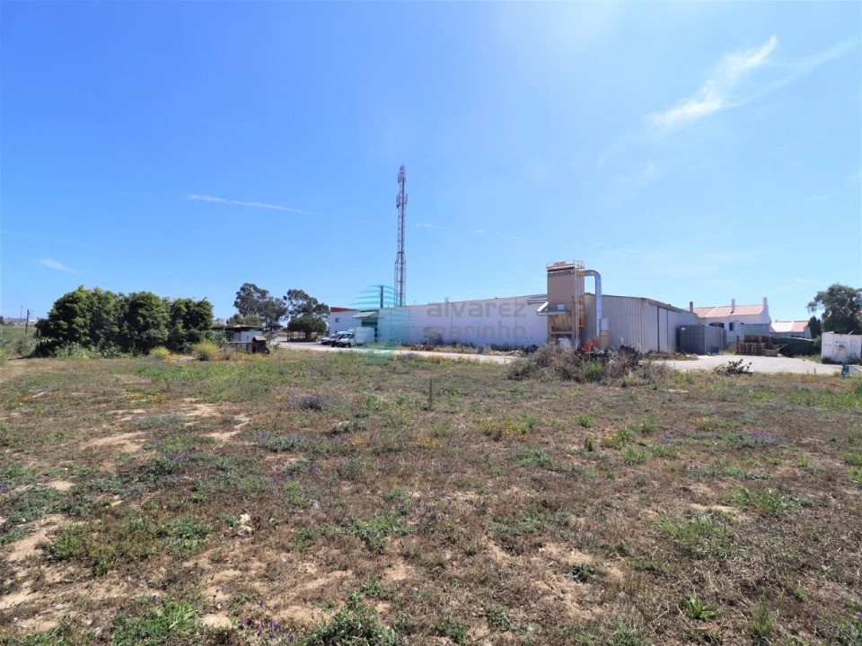 Armazém para Venda em Ericeira Foto 8