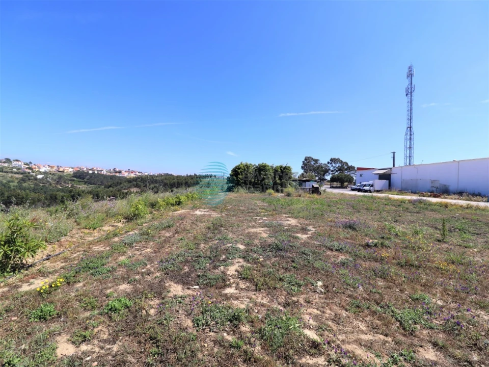 Armazém para Venda em Ericeira Foto 9