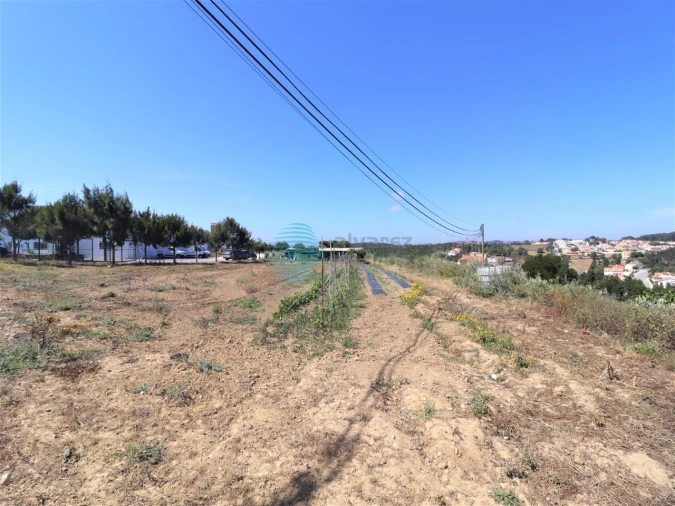 Armazém para Venda em Ericeira Foto 4