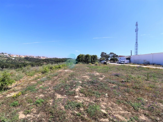 Armazém para Venda em Ericeira Foto 9