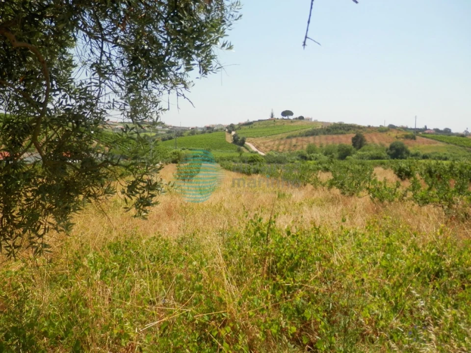 Terreno para Venda em Turcifal Foto 2