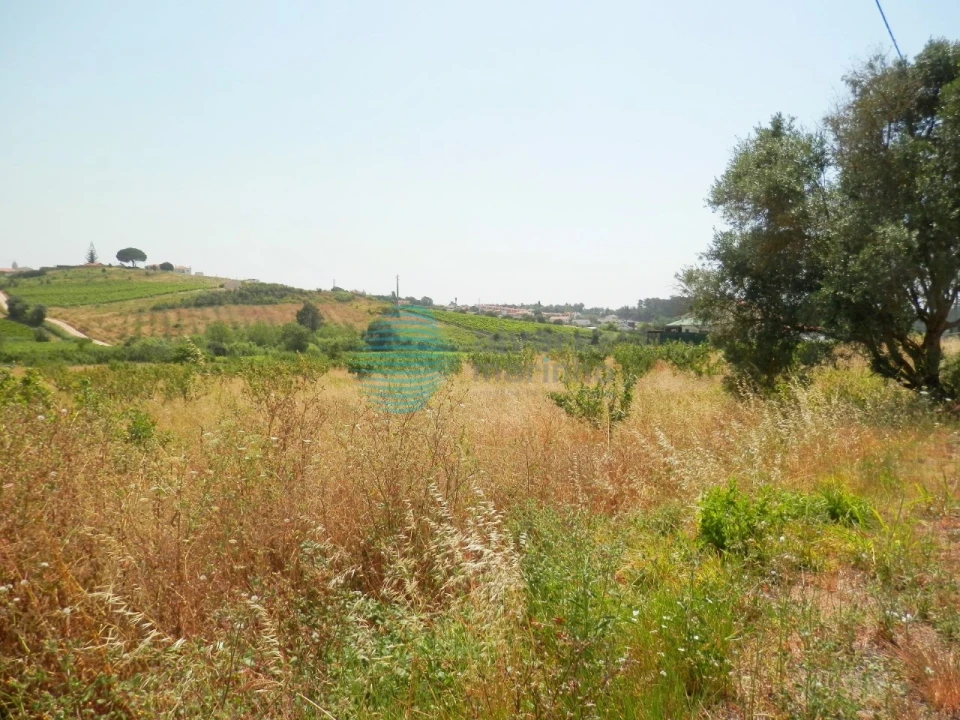 Terreno para Venda em Turcifal Foto 3