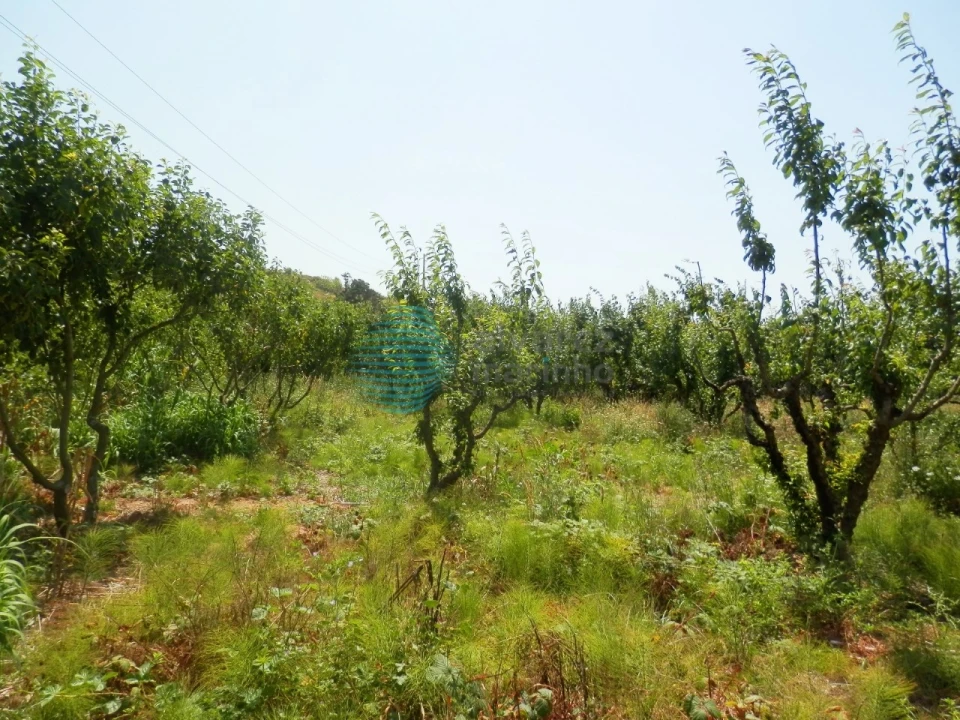 Terreno para Venda em Turcifal Foto 5